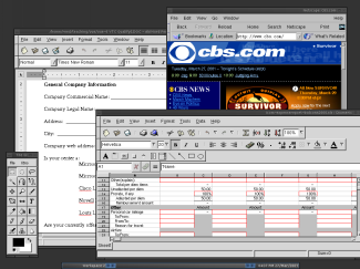 GIMP, AbiWord, Navigator, gnumeric under blackbox on NetBSD